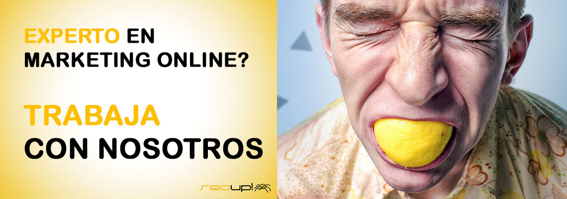 Trabaja como experto en Marketing Online en SeoUp!